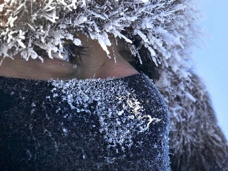 Изображение новости