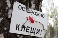 Изображение новости