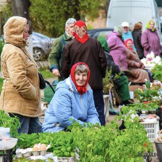 Изображение новости