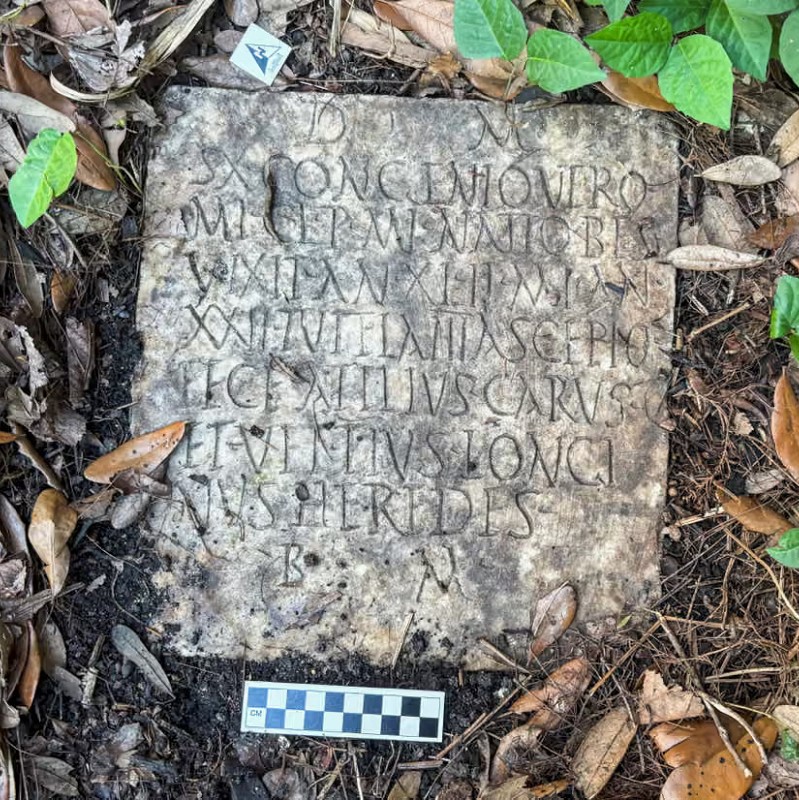 Изображение новости